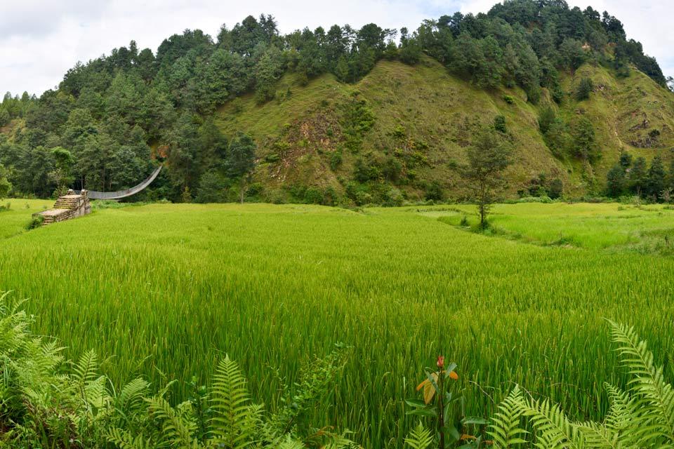 Balthali Village Hike