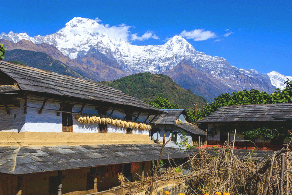 Ghandruk Trek 